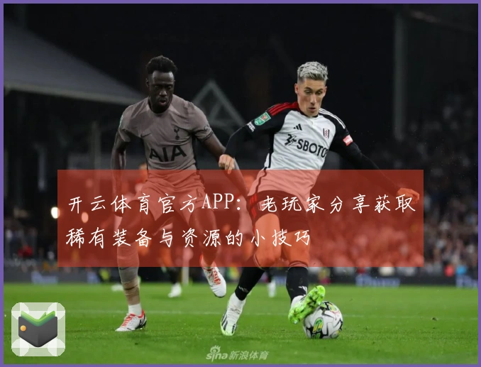 开云体育官方APP：老玩家分享获取稀有装备与资源的小技巧